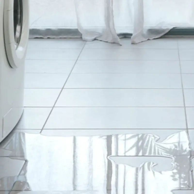 Appliance Leak Cleanup in Lake County, IL
