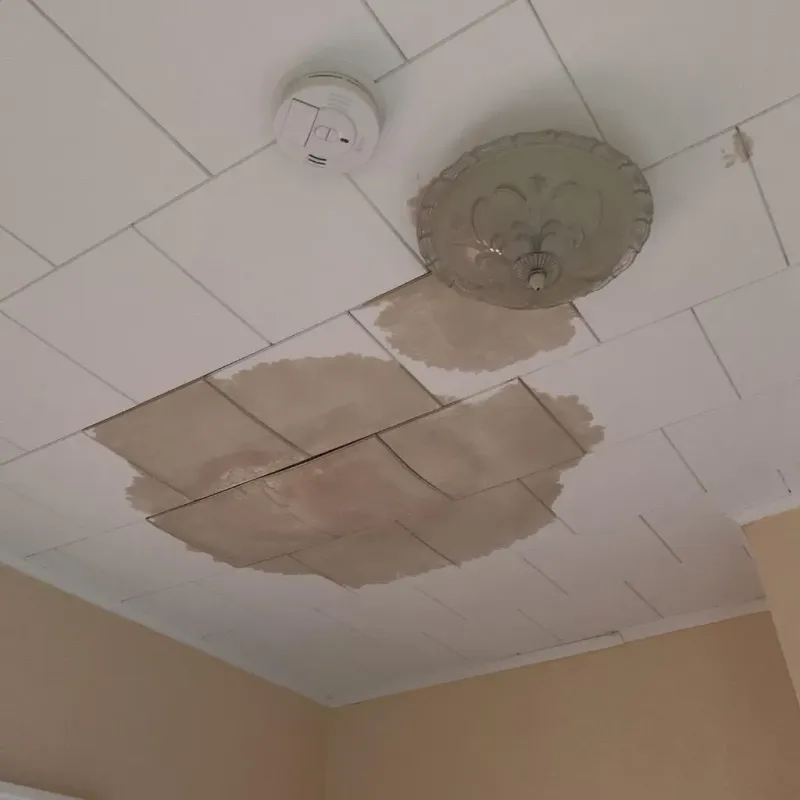 Ceiling Water Damage Repair in Lake County, IL