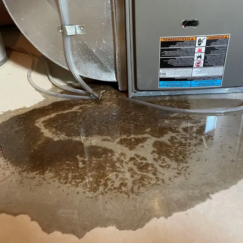 Pipe Burst and Leak Restoration in Lake County, IL